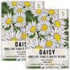 Seed Needs, English Daisy Seeds - 1,000 Heirloom Seeds for Planting Bellis perennis - White Blooms, Perennial Flowering Plants for an Outdoor Garden (2 Packs) 2 Packs (2,000 Seeds)