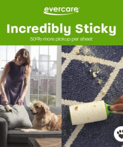 Evercare Pet Lint Roller 60 Layer Refill, 1-Count, Green 10 81mUFNTLMpL