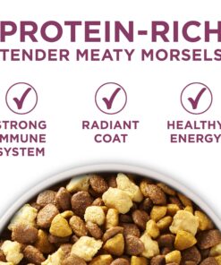 Alternative view of Purina ONE Plus Healthy Puppy Formula High Protein Natural Dry Puppy Food with added vitamins, minerals and nutrients - 8 lb. Bag Dry Food Chicken 8.00 Pound (Pack of 1)