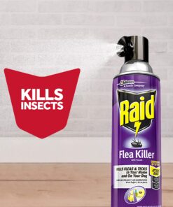 Raid Flea Killer, Kills Fleas, Crickets, Roaches, Silverfish and Ticks, Use in Your Home or on Your Dog (1 Pound (Pack of 6)) 11 81mXlBBMxL