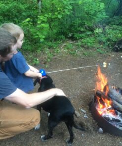 Hog Wild Reel Roaster, 27" - For Marshmallows, Hot Dogs, Camping, Barbeques, Campfires, Fire Pits, Fireplaces, Grills & More - Stainless Steel Extendable Rotating Skewer - Gift for Kids & Adults 8+ 15 81mcq W9GTL 1