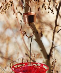 Skinny Ant Moat with Guard for Hummingbird Feeders - Gets Rid of Ants Fast in Nectar Feeder. All Natural & No Chemicals Needed. 28 81meWw1jI L
