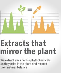 Herb Pharm Certified Organic Ginger Liquid Extract for Digestive Support - 1 Ounce 1 Fl Oz (Pack of 1) 12 81mhki6yvTL