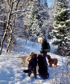 PetSafe Treat Pouch Sport- Durable, Convenient Dog Training Accessory, Standard, Black 38 81mi IQwbyL