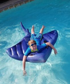 Intex Stingray Ride-On, 74" X 57", for Ages 3+ Gray 43 81miFs9rW1L