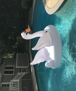 Intex Mega Swan, Inflatable Island, 76.5" X 60" X 58" Mega Float Ride-On 25 81miWGZIB2L