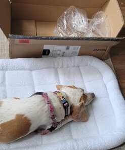 Amazon Basics 35-Inch Padded, Dog & Pet Bolster Bed, White, 35.04"L x 22.05"W x 2.76"H 35.0"L x 22.1"W x 2.8"Th 29 81mkhiiKcYL