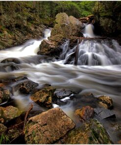 Nikon AF-P DX NIKKOR 10-20mm f/4.5-5.6G VR Lens Black Lens Only 70 81mlYUR2HwL