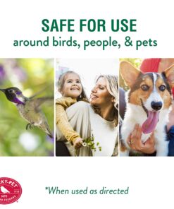 Perky-Pet 245L Ant Guard for Hummingbird & Oriole Feeders - Protects Nectar From Ants, Red, Pack of 1 19 81mmJLjxKDL 4