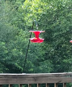 Roamwild Hanging Hummingbird Feeder for Outdoors with Double Moat Guard Technology | 5 Feeding Stations with Quick Easy Filling Port | 20 fl oz Nectar Large Capacity - Purple Petals (Yellow) Yellow 37 81mnTp5F83L