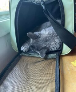 Henkelion Pet Carrier for Small Medium Cats Dogs Puppies up to 15 Lbs, Airline Approved Small Dog Carrier Soft Sided, Collapsible Travel Puppy Carrier - Green 17.0"L x 11.0"W x 11.0"H 35 81mp z9eJgL