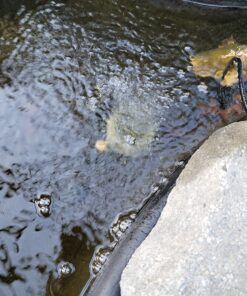 Aquascape 75000 Pond Air 2 (Double Outlet Aeration Kit) 2-Outlet 80 81mppQ6nuZL