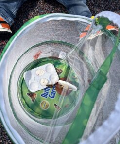 Insect Lore 5 Live Caterpillars Cup of Caterpillars Butterfly Kit Refill - Plus Butterfly Life Cycle Stages Toy Figurines - Shipped Now 61 81mtSUbcw L