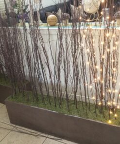 Lighting EVER Fairy Lights Plug in, 33ft 100 LED String Lights for Bedroom, Warm White Copper Wire Lights, Waterproof Indoor Outdoor Decorative Fairy Lights for Patio, Garden, Balcony, Vases, Craft 33 ft 63 81mvK3ngOwL
