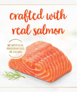 Purina Fancy Feast Salmon Feast Classic Grain Free Wet Cat Food Pate - (24) 3 oz. Cans 3 Ounce (Pack of 24) 23 81n52AQ8nL