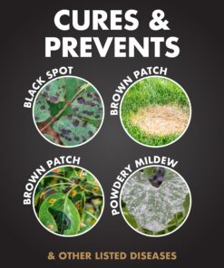 Alternative view of Spectracide Immunox Multi-Purpose Fungicide Spray Concentrate For Gardens 16 Ounces, Protects Up To 2 Weeks 1 Pack