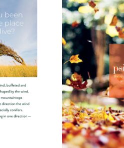 Forest Bathing Retreat: Find Wholeness in the Company of Trees 14 81n7mzftZ4L