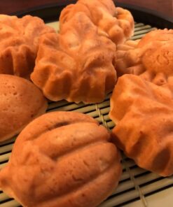 Nordic Ware Seasonal Collection Autumn Cakelette Pan 24 81n7w8Y0UWL