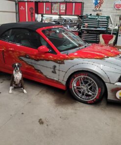 Aerolon Tech Shine: Ceramic Coating for Cars, Car Wax, Car Polish, Ceramic Polymer Coating, Hydrophobic Top Coat Polish and Sealer, 6-8 Applications per Bottle Tech Shine 16 oz. 42 81n9Du1mU2L