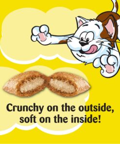 TEMPTATIONS MIXUPS Crunchy and Soft Cat Treats Catnip Fever Flavor, 16 oz. Tub 16 Ounce (Pack of 1) 28 81n9sNaBneL