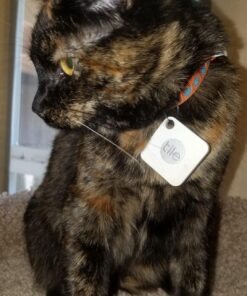 Tile Mate (2016) - 4 Pack - Discontinued by Manufacturer 32 81nASCeqgyL