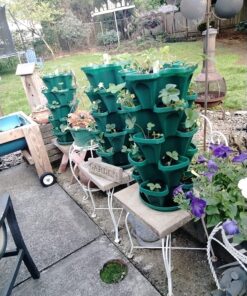 Mr. Stacky 1305-HG 5-Tier Stackable Strawberry, Herb, Flower, & Vegetable Planter - Vertical Gardening Indoor / Outdoor Stacking Garden Pots Hunter Green, 22.5 Quarts 30 81nBYKQ5dTL