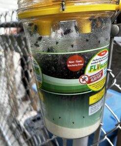 Flybuster Fly Trap - Outdoor Living, Fly Trap, Pest Control Trap for Garden 23 81nFTli6EiL
