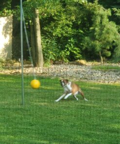 Park & Sun Sports Permanent Outdoor Tetherball Set with Accessories 2-Piece Pole 15 81nHcCdoDL