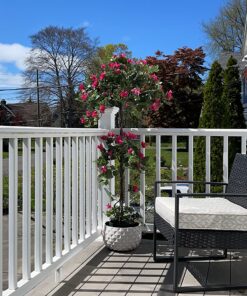 Nearly Natural 5228 Mini Bougainvillea Topiary Beauty, 5-Feet,9" x 9" x 62.5" , Green Plant 32 81nIScjg FL