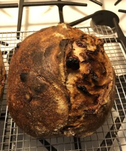 La Tourangelle Roasted Pecan Oil for Cooking, Baking, Butter Substitute, Pasta, Vinaigrettes, Stir Fry, 8.45 Fl Oz 8.45 Fl Oz (Pack of 1) 23 81nJ4jZ6CjL