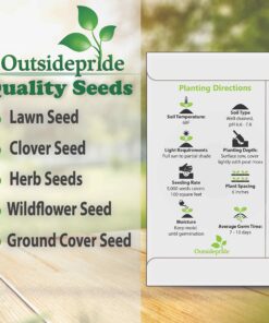 Outsidepride Perennial Roman Chamomile Evergreen Carpet Herb Garden Plants - 25000 Seeds 16 81nMoanZJQL