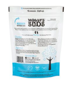 Molly's Suds Original Laundry Detergent Powder | Natural Laundry Detergent Powder for Sensitive Skin | Earth-Derived Ingredients, Stain Fighting | 70 Loads (Peppermint) Peppermint 2.93 Pound (Pack of 1) 14 81nNRAHiCAL