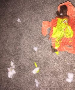 KONG PetStix Assorted Lg Large Standard Packaging 20 81nPFRfi3L