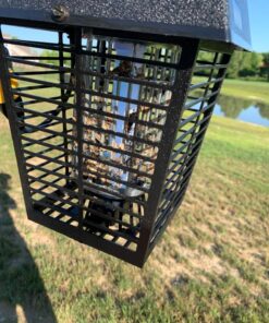 Flowtron Bug Zapper, 1/2 Acre of Outdoor Coverage with Powerful 15W Bulb & 5600V Instant Killing Grid, Electric Insect, Fly & Mosquito Zapper, Made in The USA 28 81nPnB0KpfL