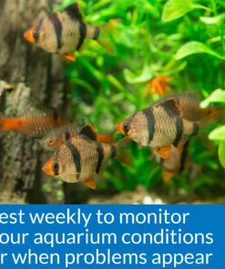 API Phosphate Test Kit For Freshwater And Saltwater 12 81nQqx82DvL