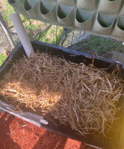 Uncle Jim's Worm Farm 2000 Count Red Wiggler Worms 24 81nRZRJGAgL