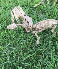 Large Dinosaur Excavation Kit 37 81nT MEX3wL