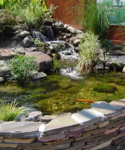 Pond Armor SKU-TAN-QT-R Non-Toxic Pond Shield Epoxy Paint, 1.5-Quart, Tan, 48 Fl Oz (Pack of 1) 11 81nTpKN2vIL