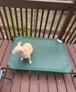 Coolaroo Gale Pacific The Original Cooling Elevated Dog Bed, Indoor and Outdoor, Large, Brunswick Green, 51.00" x 31.50" x 8.00" 51.0"L x 31.5"W x 8.0"Th 47 81nU0yoYQgL