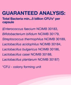 Nutramax Proviable Digestive Health Supplement Multi-Strain Probiotics and Prebiotics for Cats and Dogs - with 7 Strains of Bacteria, 80 Capsules 80 Count 29 81nUD25 bWL
