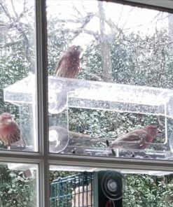 Wild Birds of Joy Window Bird Feeder with 4 Super Strong Suction Cups & Sliding Seed Tray, Large, Clear Acrylic, Easy Clean, Outdoor Bird Feeders, Outside View Up Close of Finch, Cardinal and Blue Jay 41 81naHf6yRQL