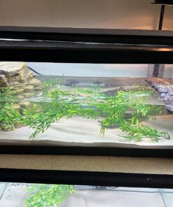 Tetra Decorative ReptoFilter, Terrarium Filtration, Keeps Water Clear 43 81neBahaAYL