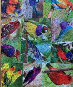 Springbok Birds of a Feather 500 piece Jigsaw Puzzle for Adults features a photo collage of colorful American birds 16 81nhhnKwJ L