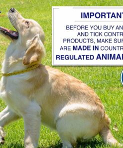 Arava Flea & Tick Collar - for Dogs & Puppies - Length-22'' - 11 Natural Active Ingredients - Safe for Babies & Pets - Enhanced Control & Defense 21 81njMMQS2fL