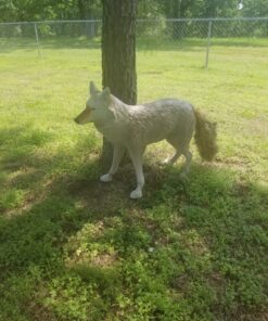 Flambeau Outdoors 5985MS-1 Lone Howler Coyote Decoy, One Size 24 81nkmU0avfL