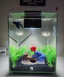 Fluval Chi II Series Aquarium Set, 5-Gallon - Aquarium Tank with Ambient LED Lighting, Flowing Water, and Elegant Design, White 5 gal 58 81nktXufmL