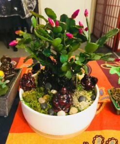 JapanBargain 3578, Set of 6 Buddha Statues Laughing Buddha Lucky Buddha Happy Buddha Gods Figures Fengshui Decoration, Rosewood Color 45 81nmnZ81kLL