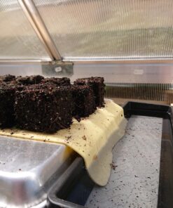 Ladbrooke Genuine Soil Block Maker - Mini 4 Hand Held - Most Popular Soil Blocking Tool, Made in England 50 81no1XDaC0L