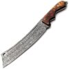 Sgnp-9376, Handmade Damascus Steel Knife - Exotic Wood Handle - Color Case Vary 27 81nrEoFmJJL