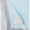 Bacati - Elephants Light Blue with Grey Border Embroidered Blanket 30 x 40 Inch 52 81ntTPb2KLL